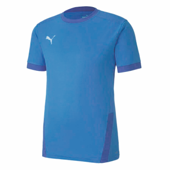 (Bild für) PUMA Trikot TeamGOAL 23